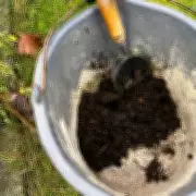 Monty Don's 5-Minute January Mulching Tip Transformed My Garden