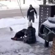 Mother-of-three shot dead by ICE agent in Minneapolis, sparking outrage