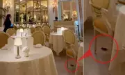 Mouse Spotted at The Ritz London's Afternoon Tea, Hotel Launches Investigation