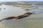 National Trust Creates Bird Sanctuary by Sinking Historic Barges in Essex Estuary