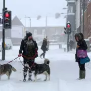 New 'Beast from the East' Could Hit UK with 10 Days of Snow from January 21
