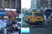 New York Carriage Horse Bolts, Crashes into Taxi in Midtown Manhattan Chaos