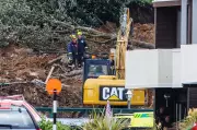 New Zealand Landslide Tragedy: Multiple Missing After Campsite Disaster