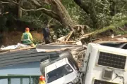 New Zealand Landslide Tragedy: Rescue Teams Race Against Time After Deadly Slopes Collapse