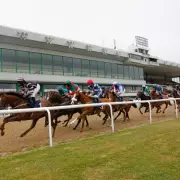 Newsboy's Friday Racing Tips: Magic Runner Napped at Wolverhampton