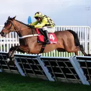 Newsboy's Saturday Racing Tips: Sir Gino and Docpickedme Lead Selections