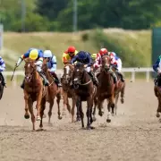 Newsboy's Thursday Racing Tips: Speed Of Maajid Tipped for Chelmsford Nap