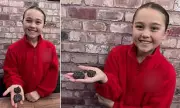 Nine-Year-Old Discovers 4.5 Billion-Year-Old Meteorite on Welsh Beach