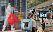 Nipah Virus Outbreak Sparks Global Airport Restrictions and Quarantines