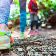 Nordic Walking Burns 20% More Calories for Faster Weight Loss, Study Finds