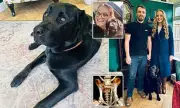 Norfolk Couple Cancel Wedding to Fund £20,000 Cancer Treatment for Beloved Dog