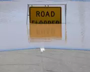 NSW Flood Crisis: Sydney Evacuations as Storms Claim Life and Cause Chaos