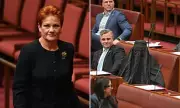 One Nation Surges to 22% in Polls as Hanson Sits Out Senate Suspension