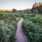 Osmotherley: North Yorkshire's Historic Village with 3 Pubs & 1397 Shrine