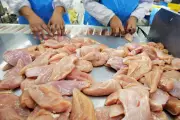 Over 13,000 Pounds of Chicken Recalled in 7 US States Over Listeria Fears