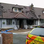 Petrol Bomb Attack in Newry Kills Family Dog, Leaves Man with Serious Burns