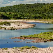 Piranha Attack Horror in Brazil: Ten Injured in River Feeding Frenzy