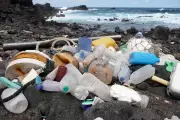 Plastics Health Crisis: Global Burden to Double by 2040, Lancet Study Warns