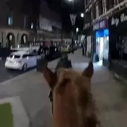 Police Horse Gallops After Fugitive in Dramatic Blackburn High Street Chase