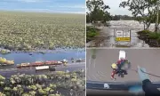 Queensland Braces for 500mm Deluge and Cyclone Threat as Flood Crisis Deepens