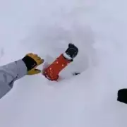 Quick-thinking skier saves boy buried alive in Swiss avalanche