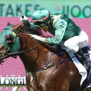 Racing Fans Devastated as Former Royal Ascot Contender Cannonball Euthanised After Gruesome Injury