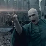 Ralph Fiennes Hints Cillian Murphy as New Voldemort in HBO's Harry Potter Series