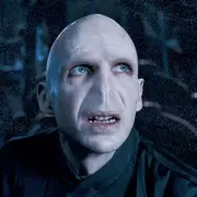 Ralph Fiennes Hints Cillian Murphy May Be New Voldemort in HBO's Harry Potter Series