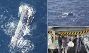 Record £520m Cocaine Haul Seized from 'Narco Sub' in Atlantic by Portuguese Forces