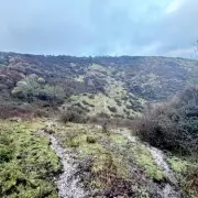 Rescue Sparks Warning Over Highland Cow Beauty Spot Safety