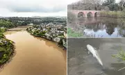 River Wye's Ecological Crisis: From Salmon Sanctuary to Polluted Waterway