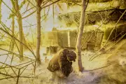 Russia Launches 300+ Missile & Drone Barrage on Ukraine Power Grid