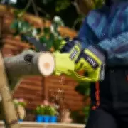 Ryobi Pruning Saw Saves Gardeners Money on Tree Surgeon Bills