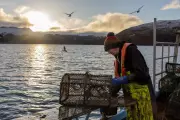Scotland's Marine Protection Fails as Destructive Bottom Trawling Continues