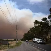 Seven Racehorses Perish as Australian Bushfires Devastate Lindsay Park Stables