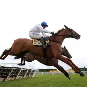 Sir Alex Ferguson's Horse Maestro Conti Emerges as Cheltenham Festival Favourite