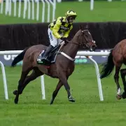 Sir Gino's Pelvic Fracture: Nicky Henderson Provides Recovery Update After Cheltenham Setback