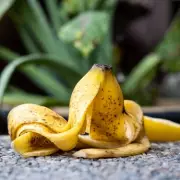 Stop Bin Banana Skins: January Gardening Hack Reveals Their Secret Power