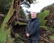 Storm Goretti Ravages Cornwall: St Michael's Mount Loses 80% of Trees