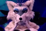 Strictly's Anton Du Beke Unmasked as Arctic Fox on The Masked Singer