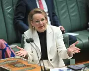 Sussan Ley's Liberal Leadership Hangs by a Thread After Coalition Collapse