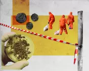 Sydney's $32bn Sewage Overhaul: The Fight to End 'Poo Balls' and Ocean Pollution