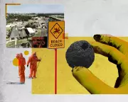 Sydney's 'Four-Bus' Fatberg Threat: Beaches Face Months-Long Closure