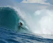 Sydney's Surfing Soul Shaken: Four Shark Attacks in 48 Hours Force Exodus