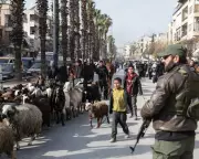 Syria Announces Aleppo Ceasefire After Clashes Displace 140,000