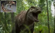 T. rex Growth Rewritten: Dinosaurs Took 40 Years to Mature, Study Reveals