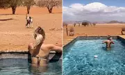 Tasha Ghouri's Wild Bikini Safari Holiday With CBBC Boyfriend Cam Whitnall