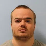 Tate Modern Attacker Jonty Bravery Jailed for Clawing Nurse's Face at Broadmoor