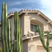 Teen Charged with Murder After 'Playing House' in Dead Neighbour's Home for Two Weeks