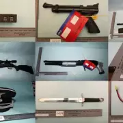 Teen's 'Horrible Things' Journal & Arsenal Found in Synagogue Plot Trial